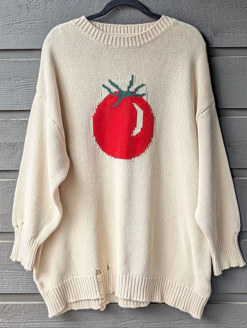 BDG Sully Icon Tomato Distressed Sweater Beige Red Green Size Large